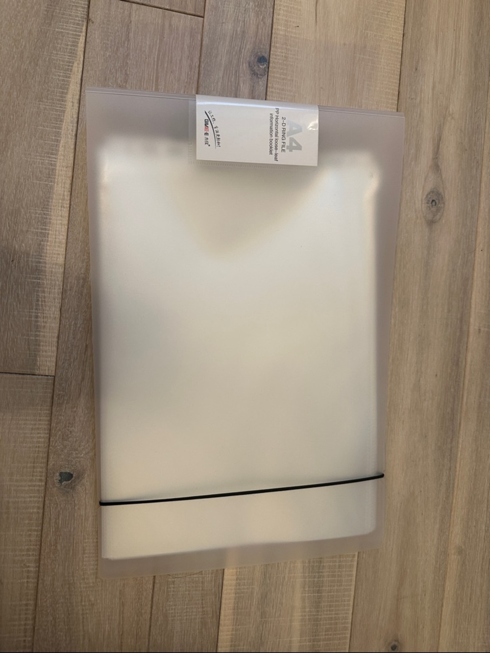 Frosted Plastic Document Folder with Elastic Closure - White